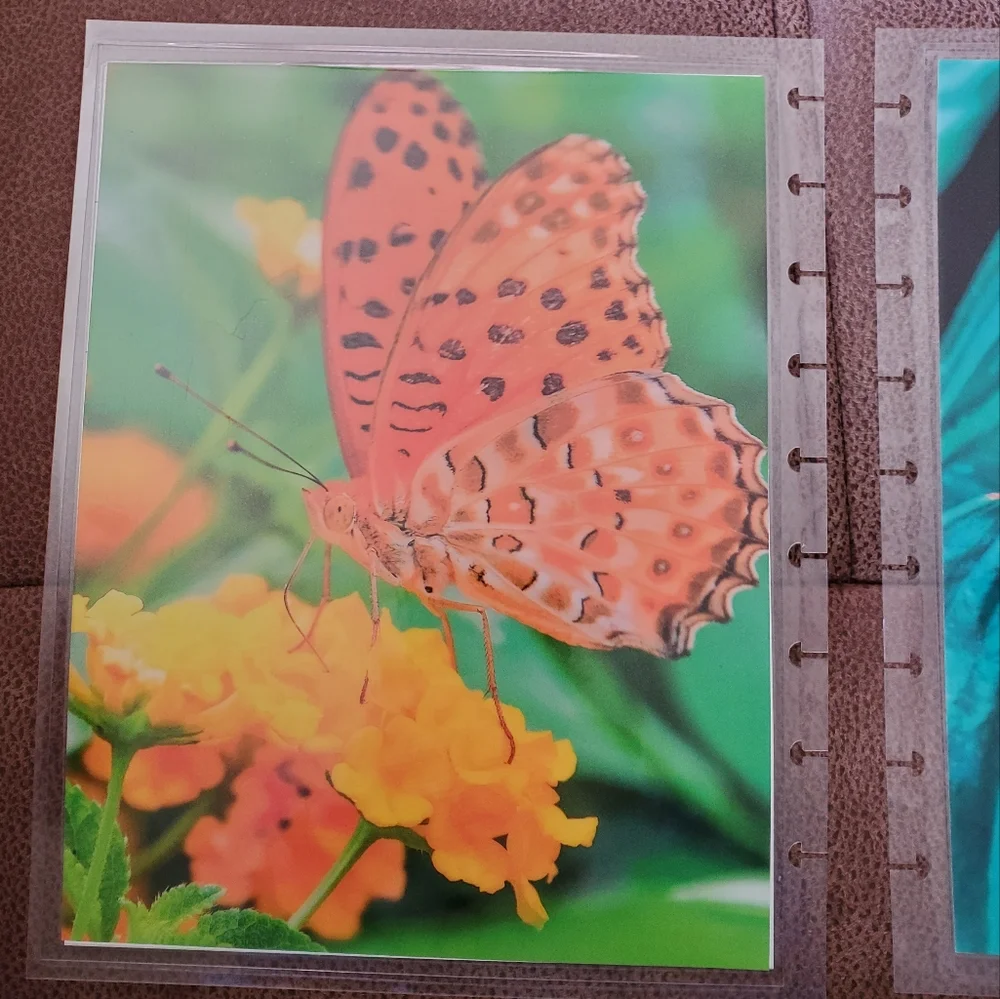 Hand Made classic sized cover for a disc bound planner farm scene, butterflies
